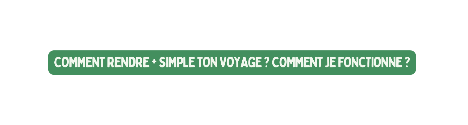 COMMENT RENDRE SIMPLE TON VOYAGE COMMENT JE FONCTIONNE